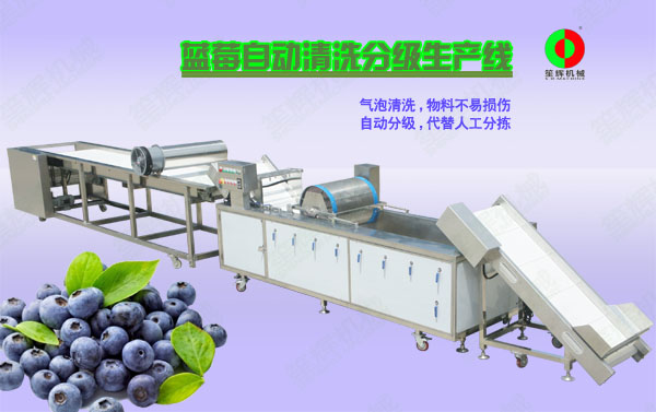 武江蓝莓/蔬果全自动清洗分级生产线